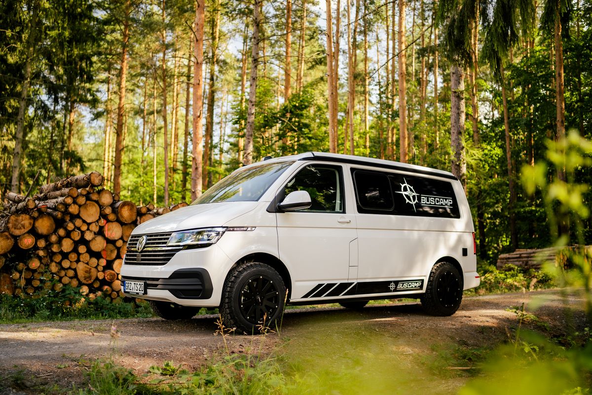 T6.1 auf einem Waldweg neben gestapeltem Holz